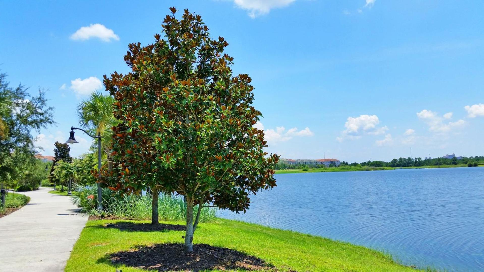 Resort Townhome: Perfect Orlando Vacation Spot Kültér fotó